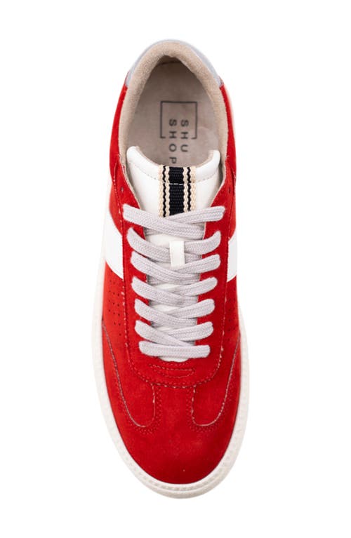Shushop Stacey Platform Sneaker
