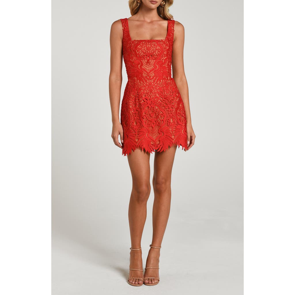 HELSI Belen Lace-Up Back Sleeveless Minidress in Poppy