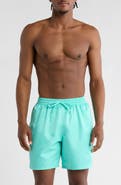 Nike 7-Inch Volley Swim Trunks