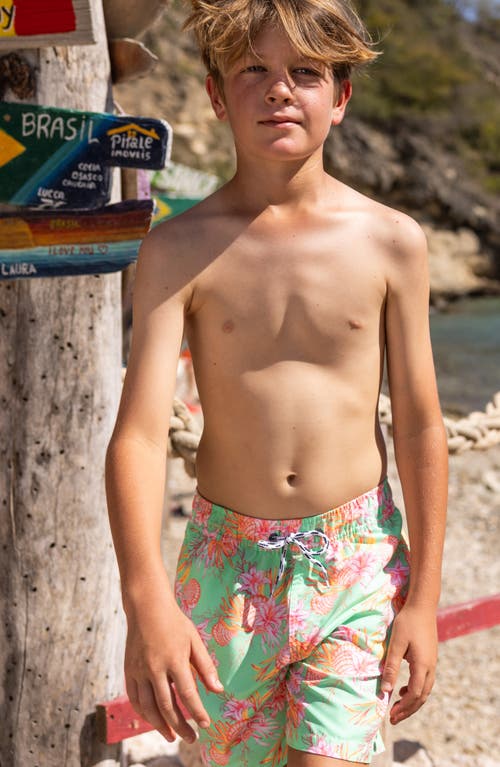 Snapper Rock Boys' Coastal Shells Sustainable Swim Short - Little Kid, Big Kid In Green