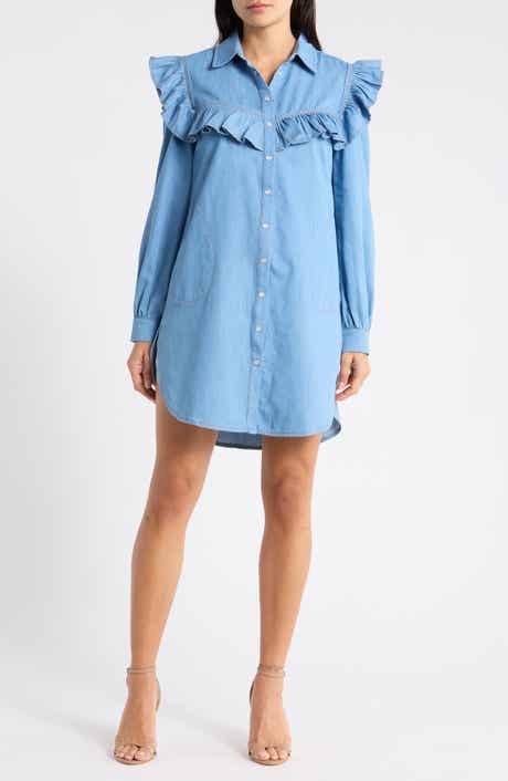Parker Denim Shirtdress