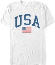 Lost Gods Men's Lost Gods Varsity USA American Flag  Graphic T-Shirt
