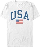Lost Gods Men's Lost Gods Varsity USA American Flag Graphic T-Shirt