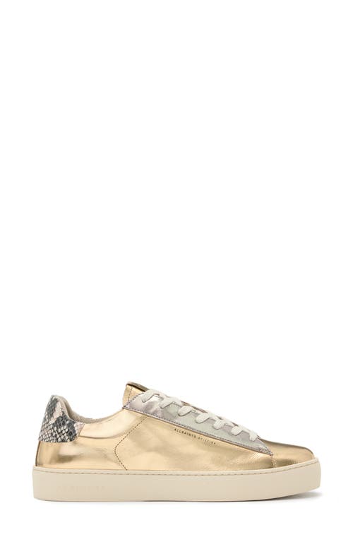 Allsaints Womens Shana Metallic Leather Low-top Trainers In Gold/silver