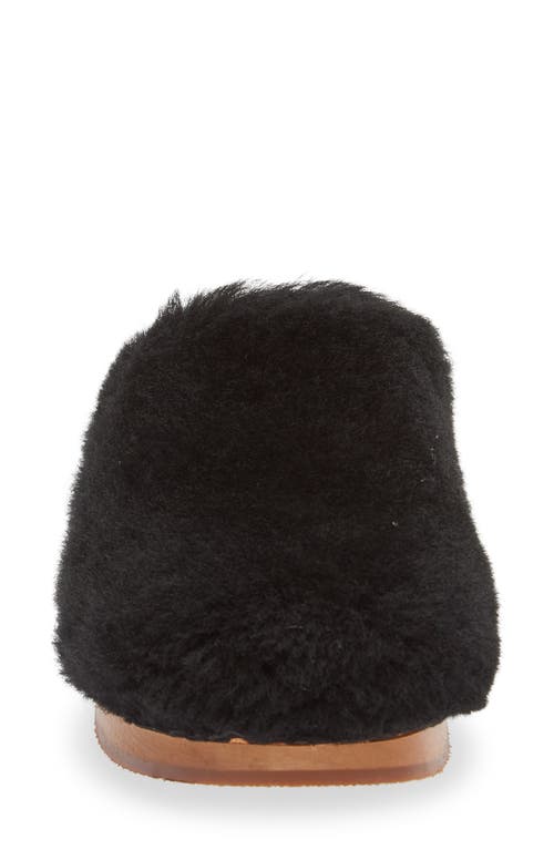 Swedish Hasbeens Fluff Genuine Shearling Clog In Black