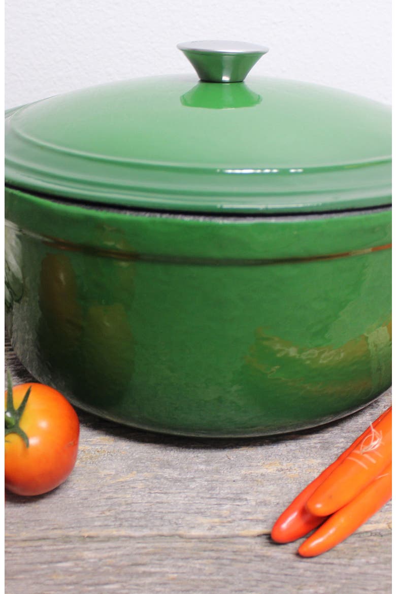 INTERNATIONAL Neo 7 Quart Cast Iron Round Covered Pot, Alternate, color, GREEN