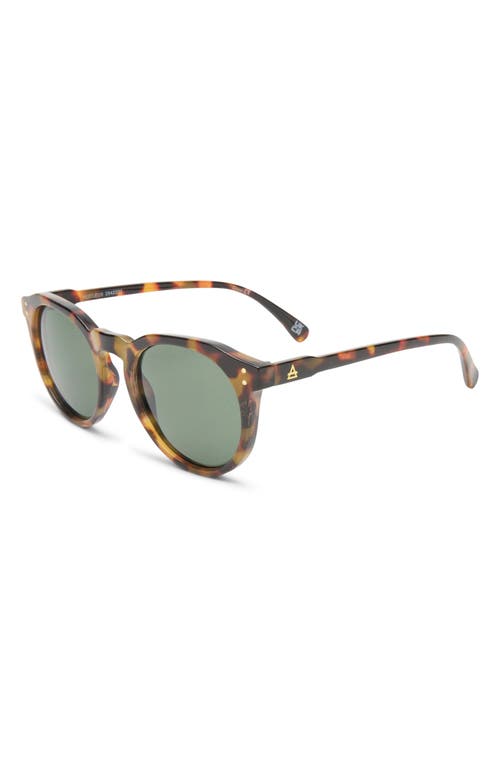 Aire Nucleus V2 53mm Round Sunglasses In Dark Tort/khaki Tint