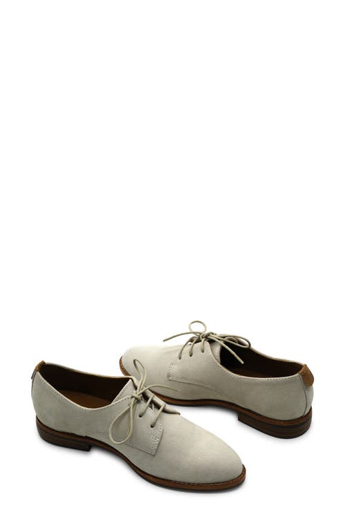 Gentle Souls Aronson Derby In Gray