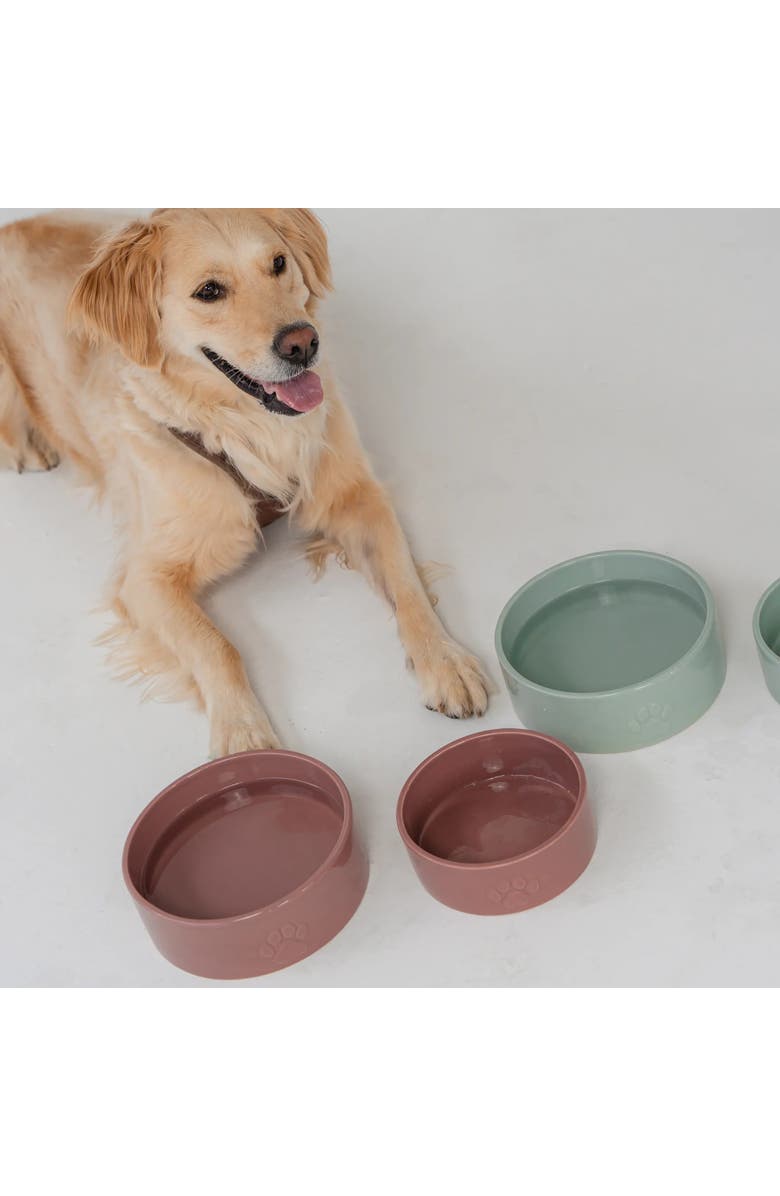 Dexypaws Ceramic Dog Bowl, 26 oz, Pet Feeding Dish, Alternate, color, Pink