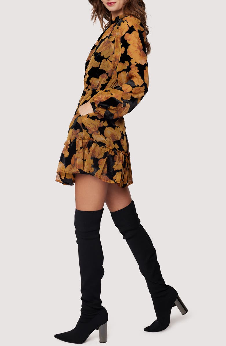 Lost + Wander Massimo Floral Long Sleeve Minidress, Alternate, color, 