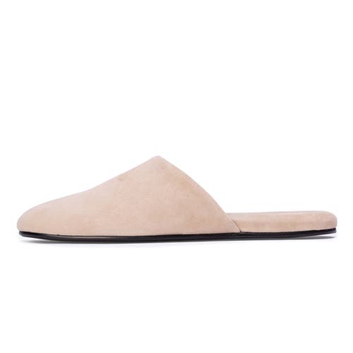 Black Suede Studio Shiloh Mule In Brown