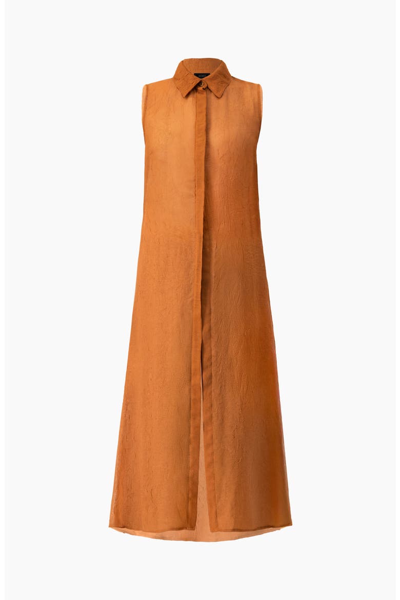 Sleeveless Collared Tunic, Alternate, color, Brown