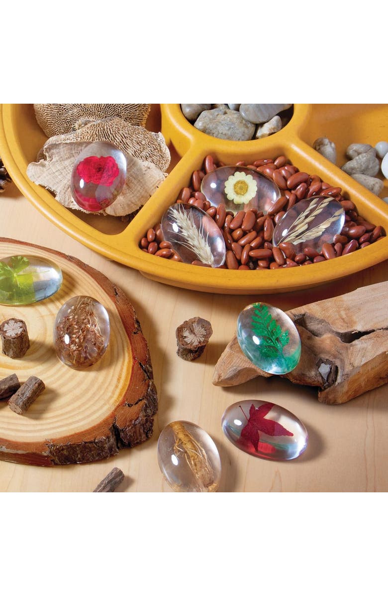 Kaplan Early Learning Company Specimen Stones Plants - 9 Pieces, Alternate, color, Clear