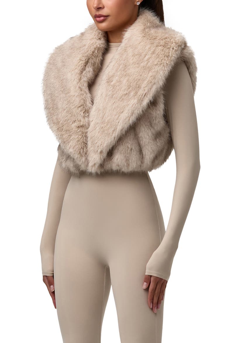 Faux Fur Plush Vest, Alternate, color, TAUPE
