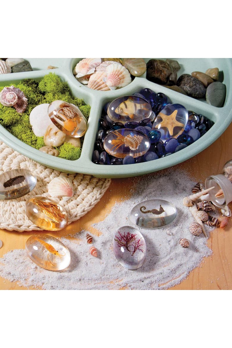 Specimen Stones Sea Creatures - 9 Pieces, Alternate, color, Clear