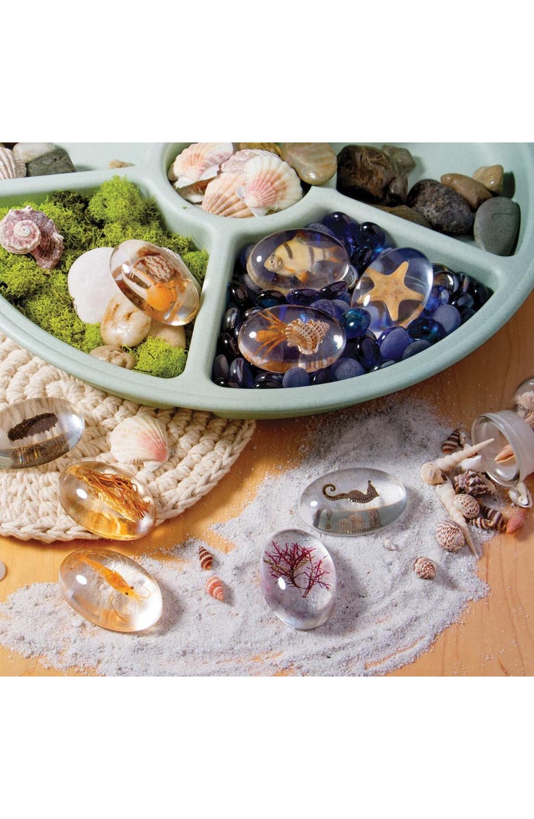 Kaplan Early Learning Company Specimen Stones Sea Creatures - 9 Pieces, Alternate, color, Clear