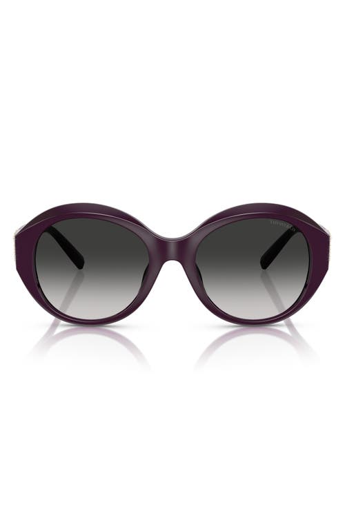 Tiffany & Co . 53mm Gradient Round Sunglasses In Burgundy/grey