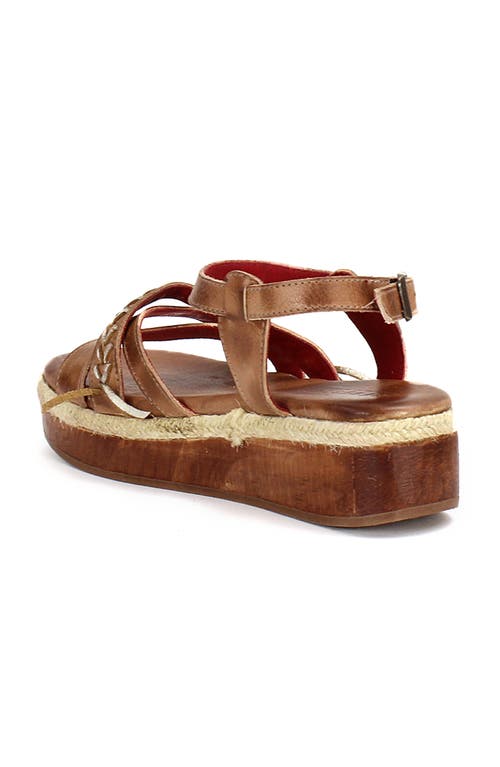 Bed Stu Necessary Wood Platform In Brown