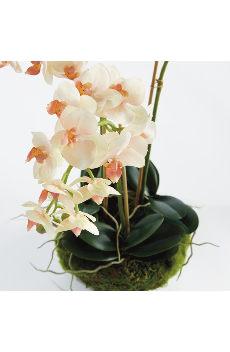 Napa Home & Garden Phalaenopsis Mini Garden Artificial Plant Drop-In, Alternate, color, Pink