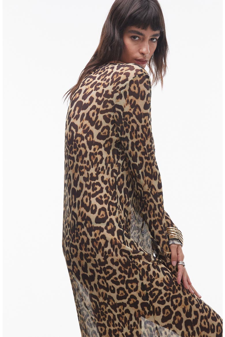 Sheer Long Sleeve Maxi Dress, Alternate, color, BROWN MULTI