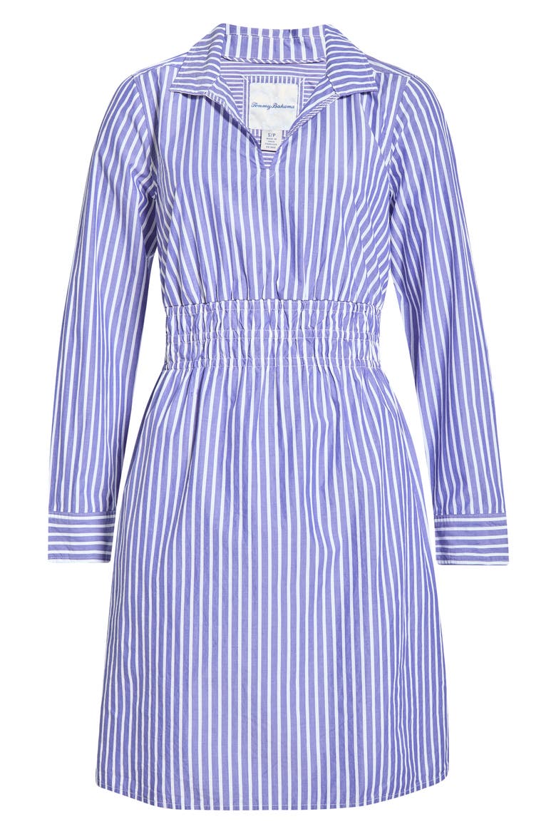 Sunlit Stripe Long Sleeve Shirtdress, Alternate, color, BOLD BLUE