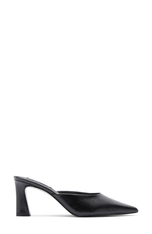 STEVE MADDEN STEVE MADDEN EMMIE POINTED TOE MULE
