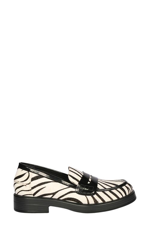 Saint G Zuri Zebra Loafer In Multi