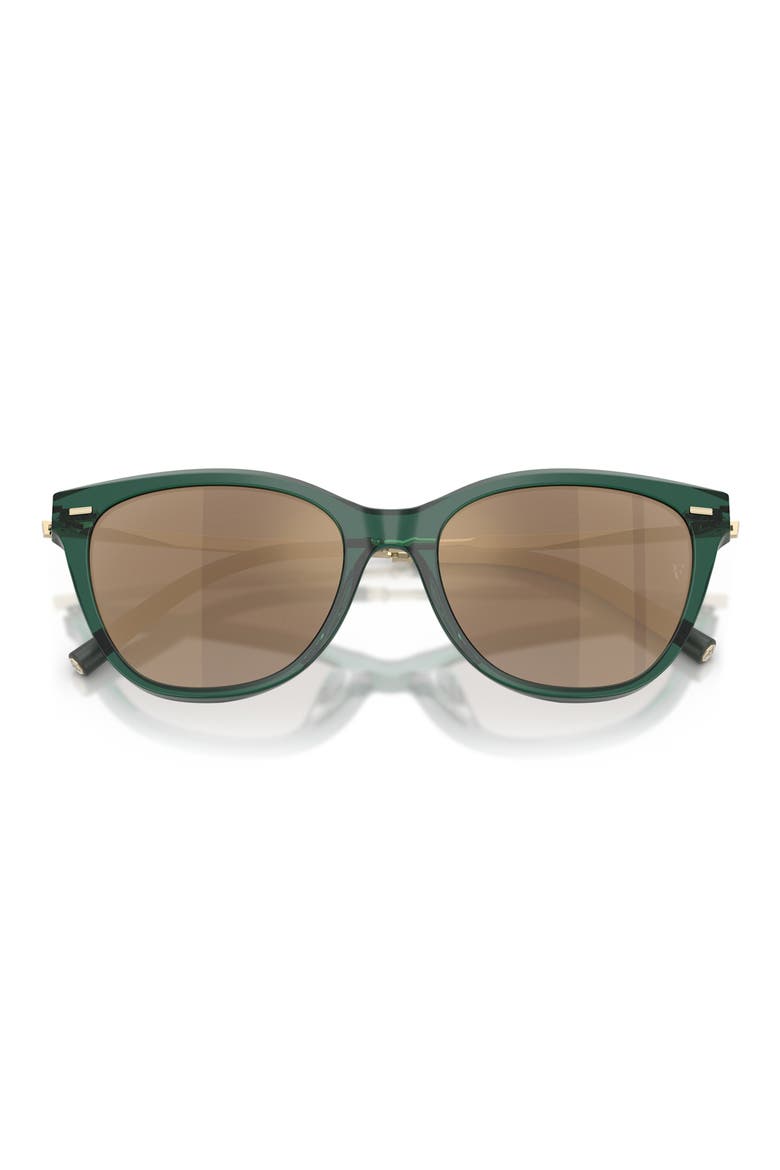 x Roger Federer Mr. Federer 55mm Cat Eye Sunglasses, Alternate, color, TRANSLUCENT DARK TEAL
