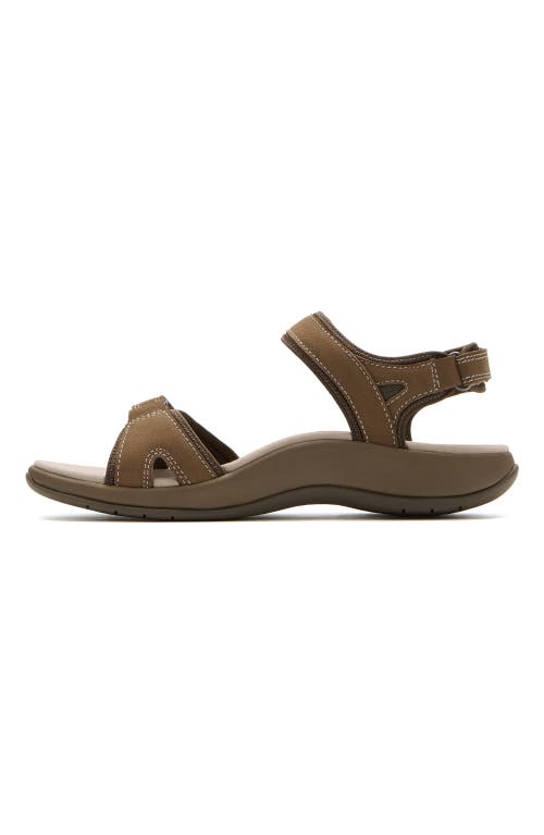 Abeo Goleta In Brown - Regular