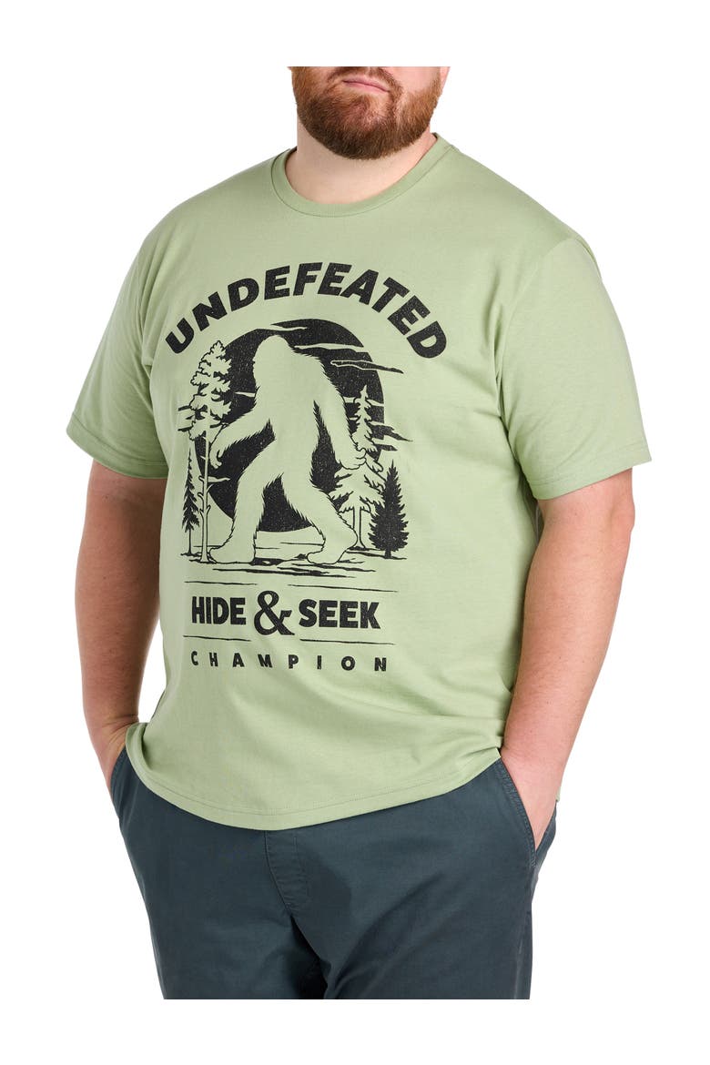 Big & Tall Big Foot Mountain Dude Graphic Tee, Main, color, SAGE
