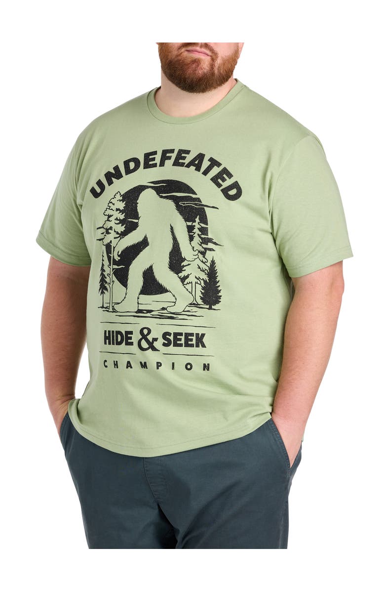 True Nation by DXL Big & Tall Big Foot Mountain Dude Graphic Tee, Main, color, Sage