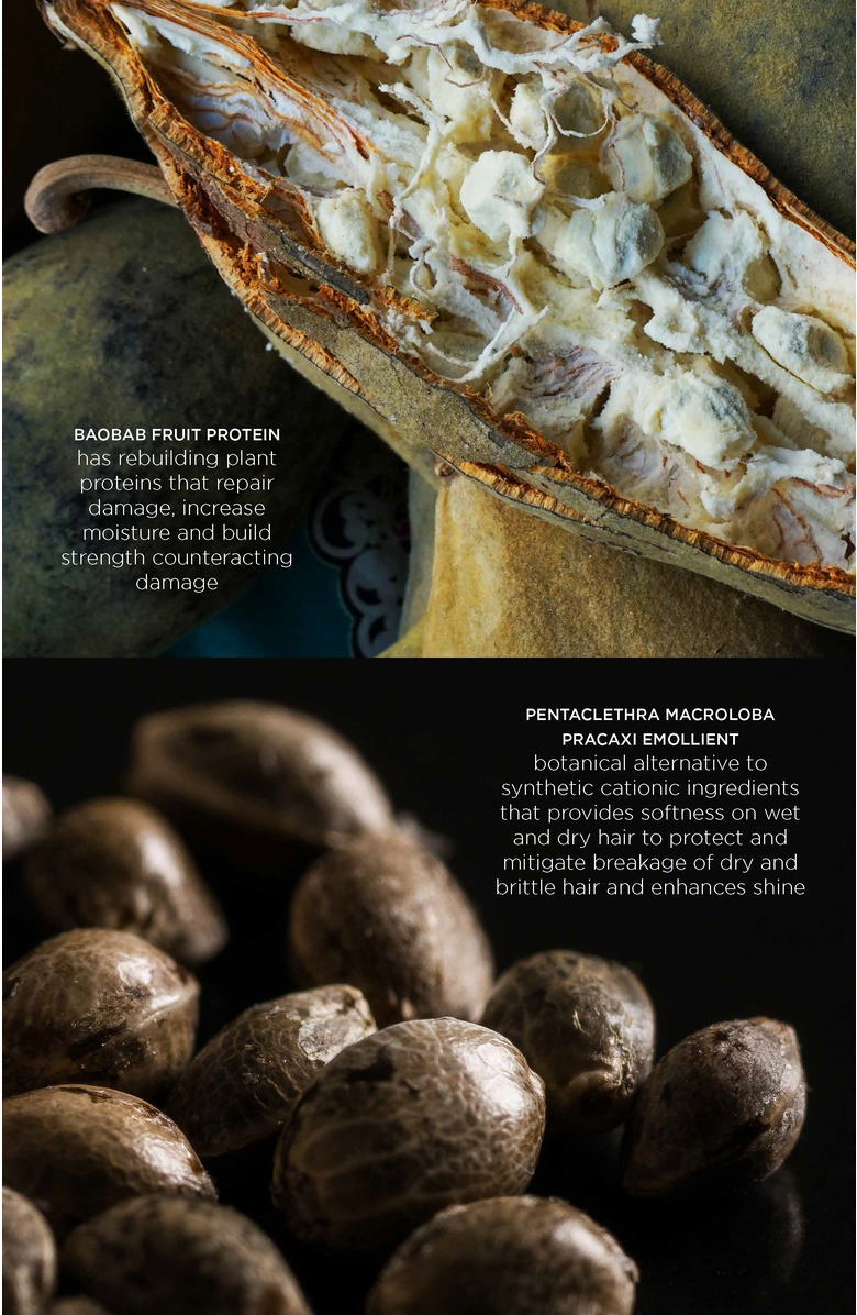 Intelligent Nutrients Fortifi-hair Conditioner, Alternate, color, 8 Fl Oz