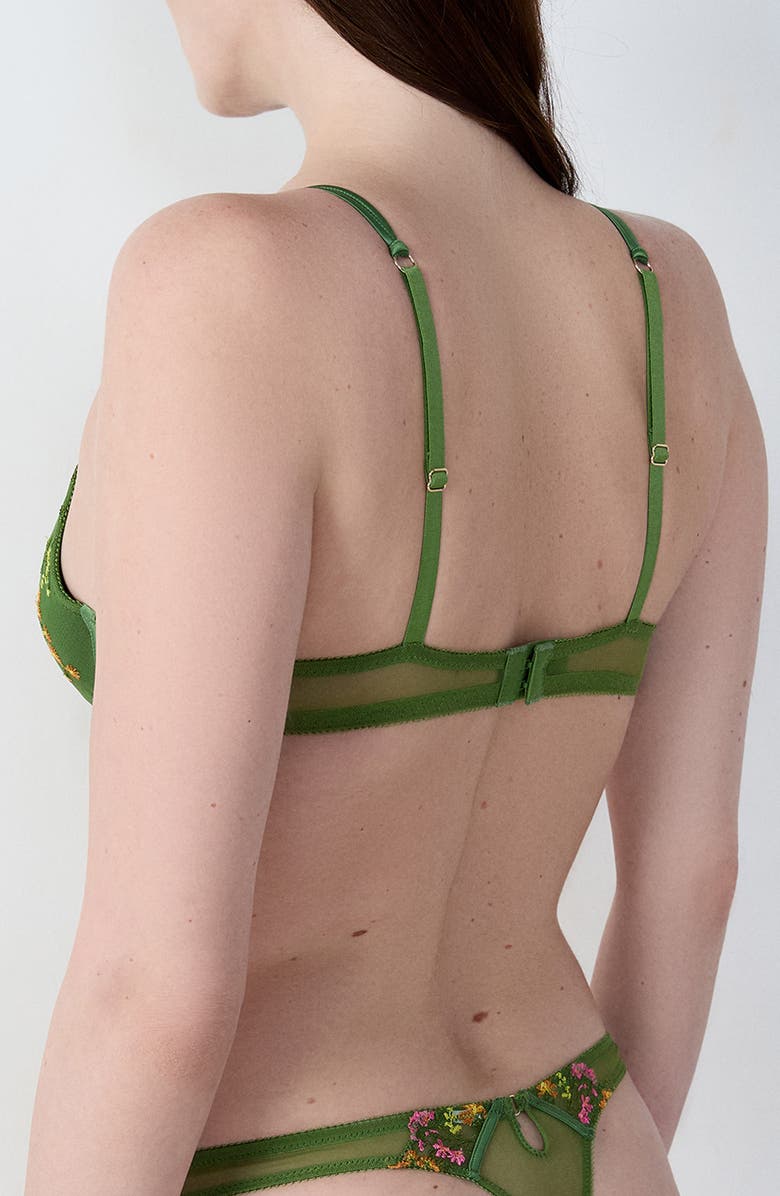 Etam Gourmandise No. 2 Underwire Plunge Push-Up Bra, Alternate, color, Green