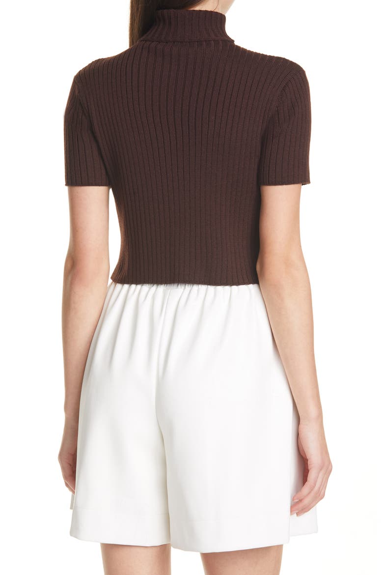 Lilou Crop Wool Blend Turtleneck Top, Alternate, color, BARK