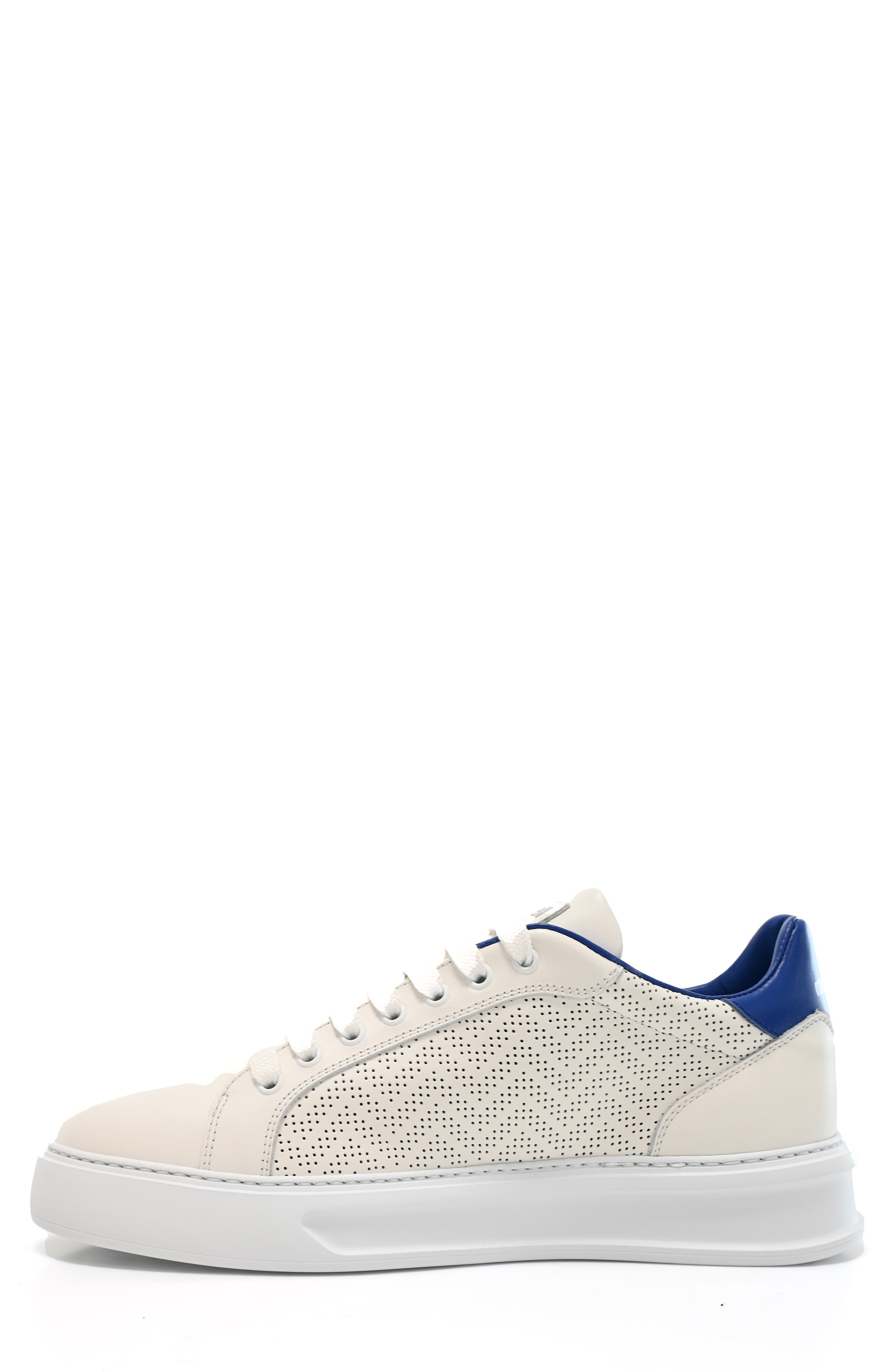 Roberto Cavalli Chucky Low Top Sneaker, Alternate, color, White/ Bluette