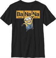 Despicable Me Boy's Despicable Me Minions Elements Graphic T-Shirt