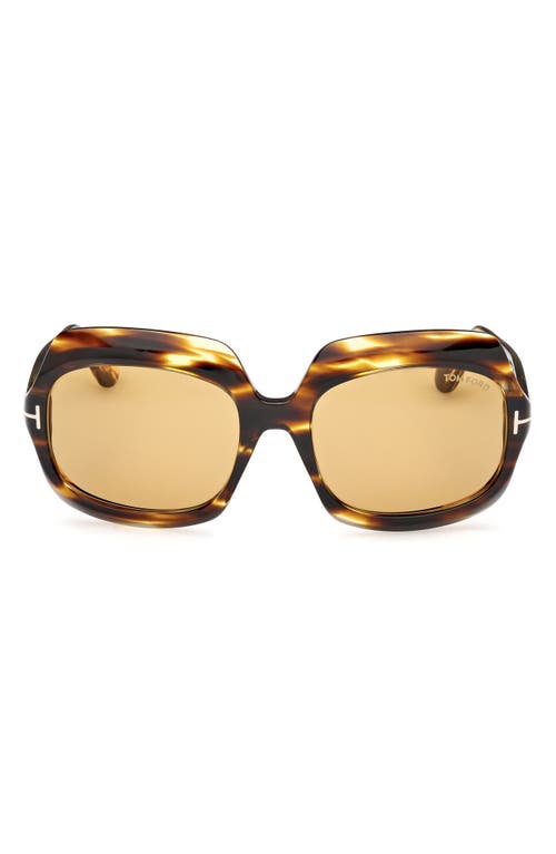 Tom Ford Ren 60mm Geometric Sunglasses In Brown