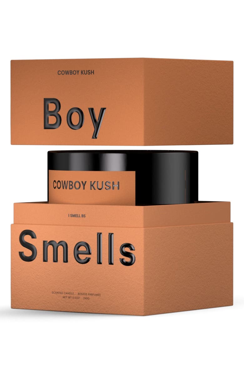 Boy Smells Cowboy Kush Candle, Alternate, color, 