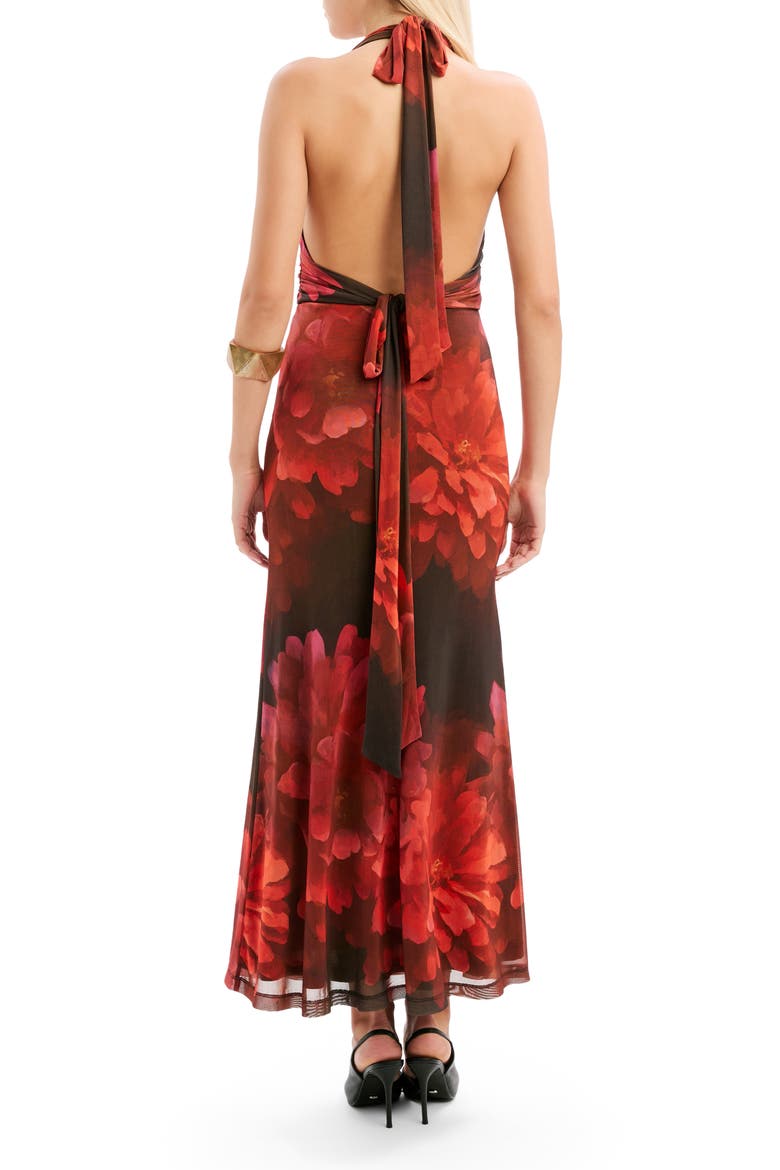 Elera Print Halter Mesh Maxi Dress, Alternate, color, RED FLORAL