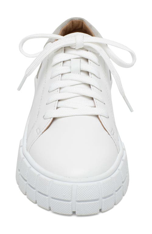 Linea Paolo Kenzi Platform Sneaker In Eggshell/off White