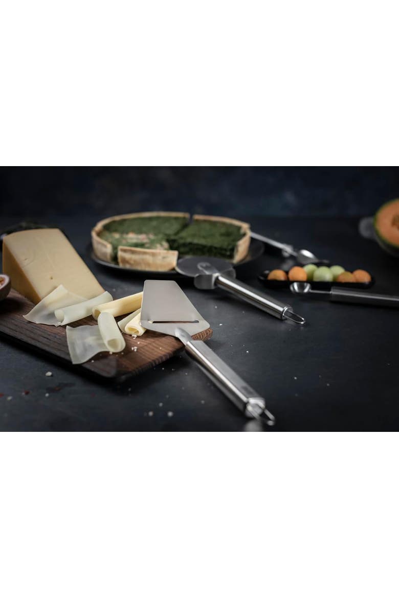 Essential Cheese Slicer, Stainless Steel Blade for Hard & Semi-Hard Cheeses, Alternate, color, Silver