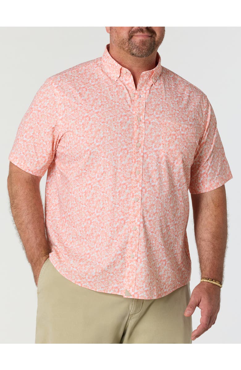 Untuckit Fit by Dxl Big & Tall Celliman Floral Sport Shirt, Main, color, Pink
