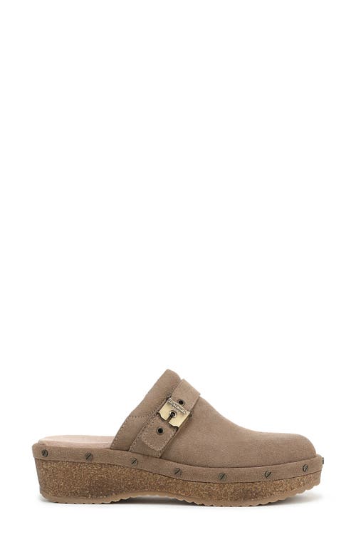 Dr. Scholl's Originalflex Clog In Brown
