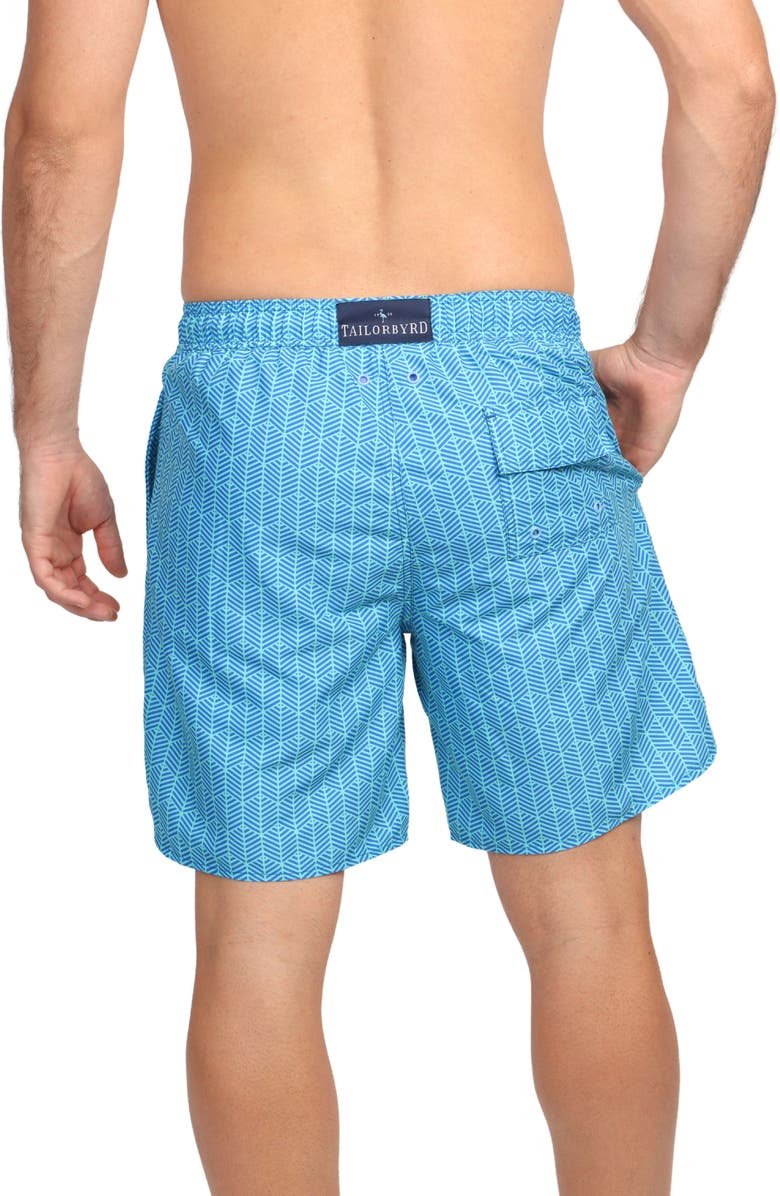 TailorByrd Abstract Geo Swim Shorts, Alternate, color, Aqua