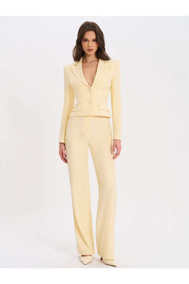 Quinne Tailored Business Casual Slim Blazer, Alternate, color, Yellow