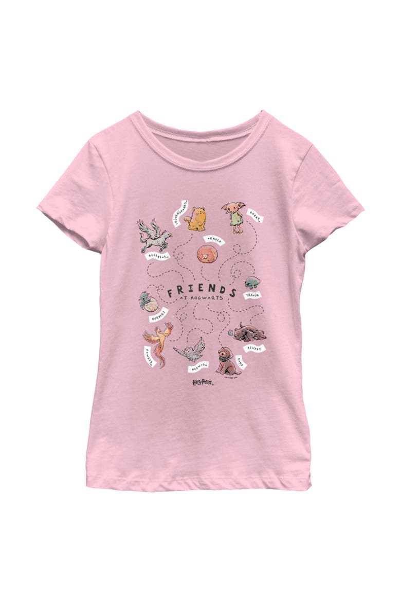 Girl's Harry Potter Animals and Pets from Hogwarts  Graphic T-Shirt, Main, color, Light Pink