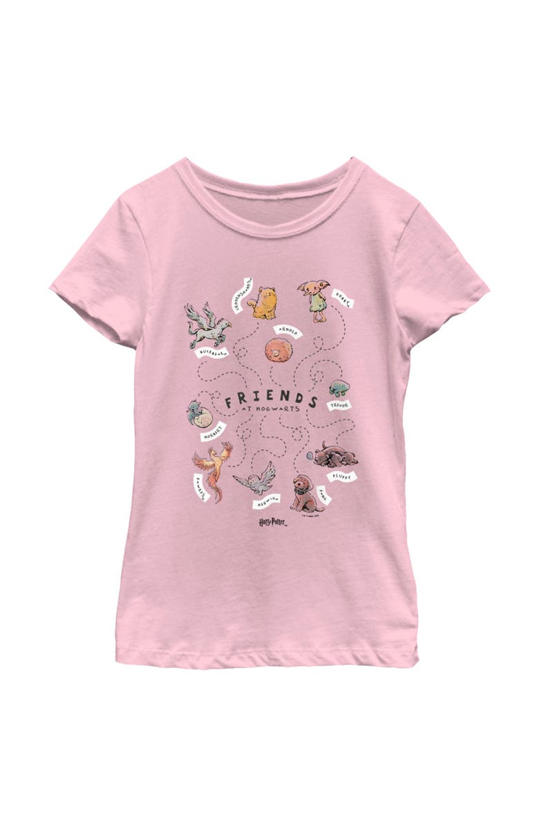 HARRY POTTER Girl's Harry Potter Animals and Pets from Hogwarts  Graphic T-Shirt, Main, color, Light Pink