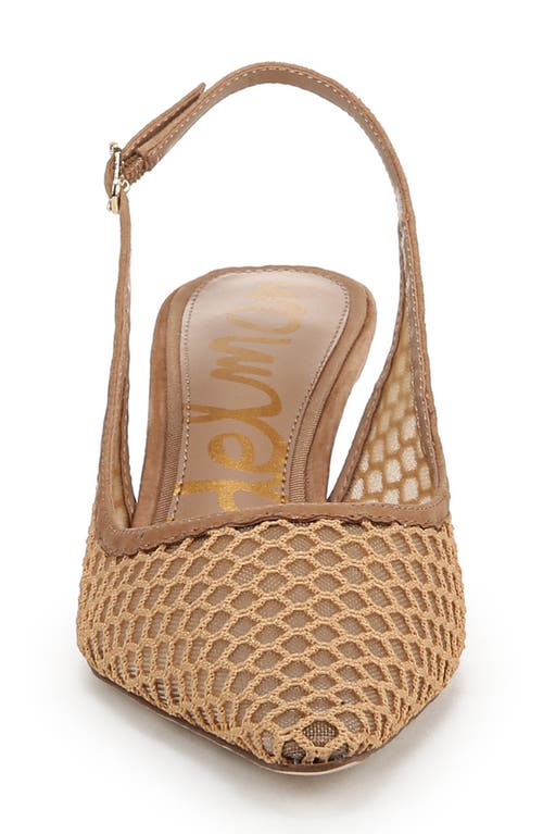 Sam Edelman Bianka Slingback Mesh Pointed Toe Pump In Hazelwood
