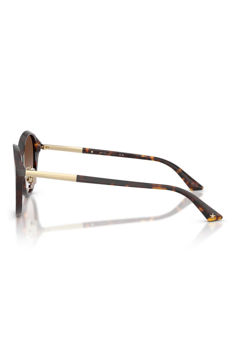 54mm Phantos Sunglasses, Alternate, color, HAVANA / GRADIENT BROWN