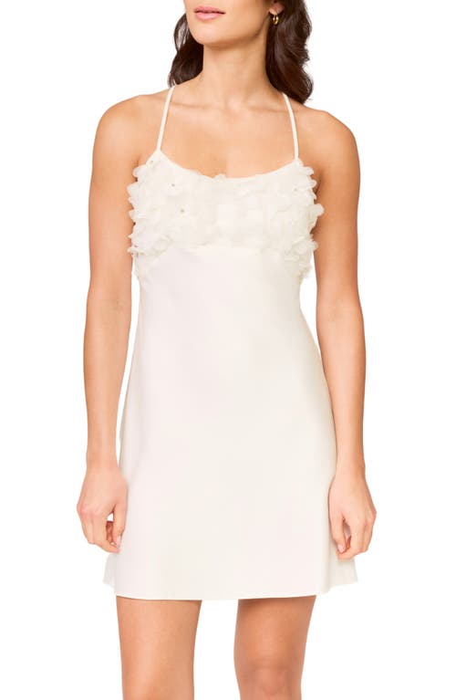 Rya Collection Haven 3D Organza Chemise in Ivory at Nordstrom, Size Small